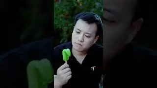 THE BEST WAY TO EAT GREEN TONGUE POPSICLE | CHINESE FOOD EATING SHOW | FUN MUKBANG ASMR