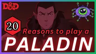 1d20 Reasons to play a Paladin | D&D 2024 Guide