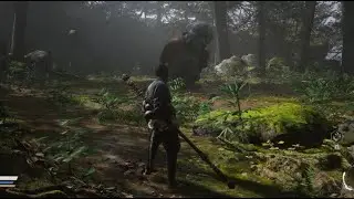 Black Myth Wukong - Wandering Wight Boss Fight (no damage)