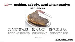 JLPT N5 Grammar: The Japanese particles あまり, しか, and だけ