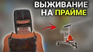 ВЫЖИВАНИЕ НА ПРАЙМЕ 🎉 ДО ВАЙПА | Oxide: Survival island