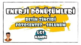 Enerji Dönüşümleri / Besin Zinciri - Fotosentez - Solunum / LGS Kampı