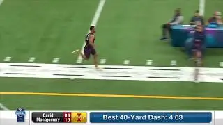 “Bipolar” David Montgomery Chicago Bears Hype!