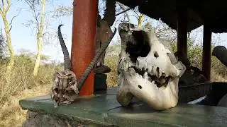 Nairobi National Park