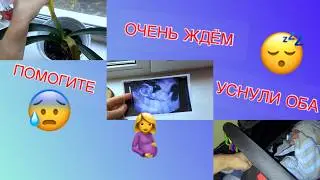 Я ЖДУ МАЛЫША Первый скрининг Мальчик или девочка? Влог с реборном 21.09 