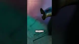 Хитрость пиявок: как они пьют кровь! 😮🩸