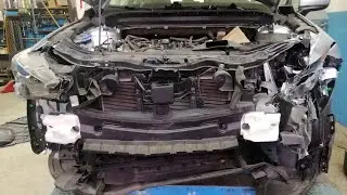 УРА!!! Мы купил кота в мешке 🧐  Наш новый Американский проект.