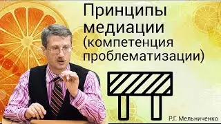 Принципы медиации (компетенция проблематизации)