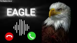 Eagle Ringtone // king ringtone Download MP3 message ringtone