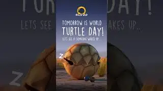 Tomorrow is a big day.. 