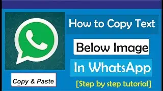 How To Copy Text Below Image In WhatsApp