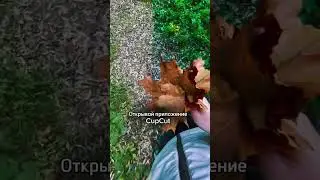 Эстетичная обработка фото/видео прямо в твоем телефоне