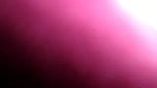 Киты искупали зрителей