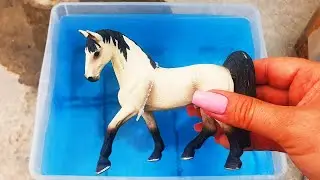 Sea animals Shark Octopus Turtle Horse Cow Lion Farm animals