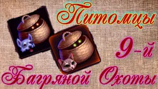 Грим соул. ЛЮТОВОЛК и ЛЮТОКОТ. Питомцы Багряной Охоты 9.