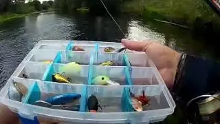 ловля голавля в перелом погоды