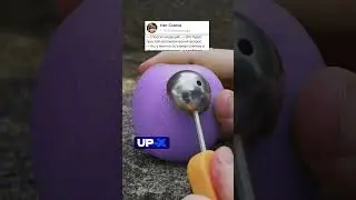 Анекдот про Приз на радио 