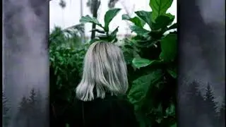 CATVLYST - Ａｕｒａｓ