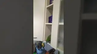 Хозяйка