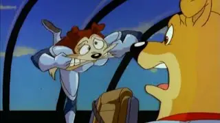 Road Rovers- Can you do this?