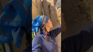 Наши будние дни