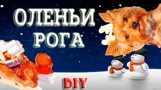 НОВОГОДНИЙ КОСТЮМ ОЛЕНЯ ДЛЯ СОБАКИ 🦌 КАК ИЗ СОБАКИ СДЕЛАТЬ ОЛЕНЯ