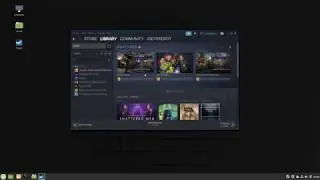 How to launch CS:GO fullscreen on Linux Mint 19.3