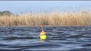 НАКОНЕЦ ТО ЛЕЩ ПОШЕЛ!!! ВОТ ЭТО ЛОПАТЫ!  ЛОВЛЯ ЛЕЩА НА ПОПЛАВОК.