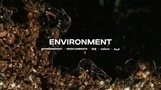2/11 Environment (iGEM 2023 Grand Jamboree)
