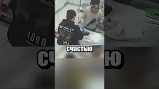 А как мать узнала, куда нести щенка?
