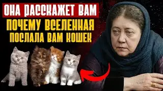 СКРЫТАЯ правда, которая до сих пор не раскрыта, о кошках, которых Ватикан пытался стереть!