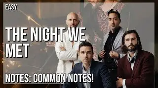 SUPER EASY: How to play The Night We Met  by Lord Huron on Tin Whistle (Tutorial)
