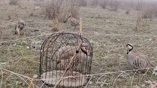 16 декабря 2023 г.