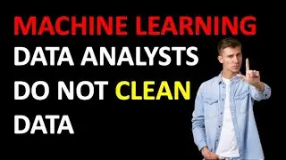 Data Analysts do not Cleanse Data