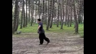 Online Student Playing Small Circle Fast Form#martialart