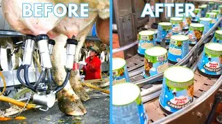 This Is How Ben & Jerry's Ice Cream Is Made, It’s Way Worse Than You Thought!