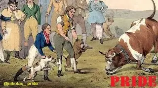 ПИТБУЛЬ, ИСТОРИЧЕСКИЕ МАТЕРИАЛЛЫ / PRIDE