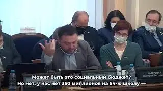 Депутат из Новосибирска: Наш бюджет города - о чём он вообще?