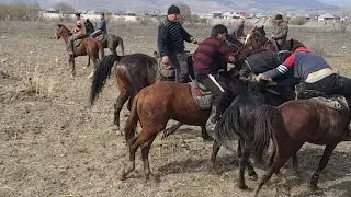 Озгон Жогалма Жакта Сооруну Жок Улак Болуб