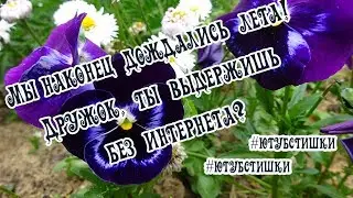 Здраствуй, лето! Ютуб стишки