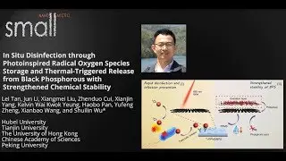 In Situ Disinfection through Photoinspired Radical Oxygen Species Storage