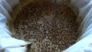 Green Hopped All Grain Porter