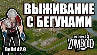 Нарезка бегунов | Project Zomboid 42.10 + Интерактив