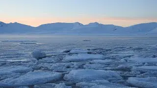 Consortium for the Advancement of Marine Arctic Science (CAMAS): A new model/observational synthesis