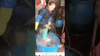 Woman butcher butchering goat after slaughtering