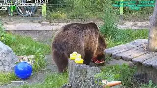 14.08.2023   