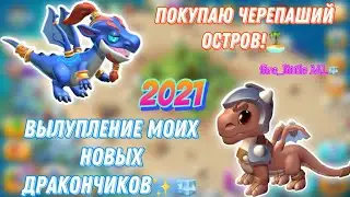 ✨ВЫЛУПЛЕНИЕ МОИХ НОВЫХ ДРАКОНОВ/ПОКУПАЮ ЧЕРЕПАШИЙ ОСТРОВ!🏝/ИГРАЮ В ЛЕГЕНДЫ ДРАКОНОМАНИИ👼🏻✨