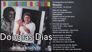 Dominguinho do Estácio ( Resumo )