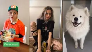 Восстание животных | Отборное из TikTok №22