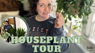 First Ever Houseplant Tour